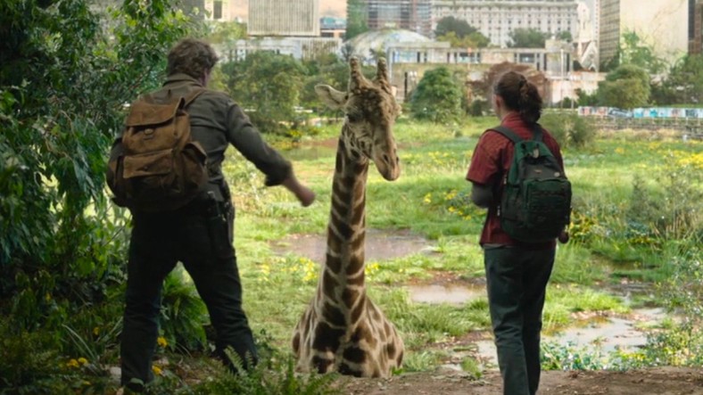 Pedro Pascal i Bella Ramsay w serialu "The Last of Us"