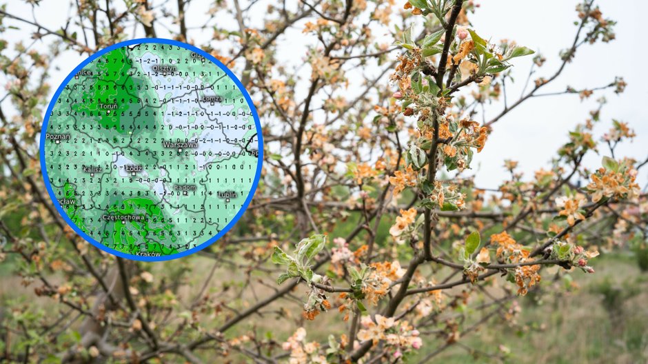 Nocne przymrozki nie odpuszczają – w Bieszczadach i na północy nawet -2°C — image 1