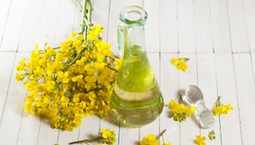 Może chronić serce: olej rzepakowy. ZALETY