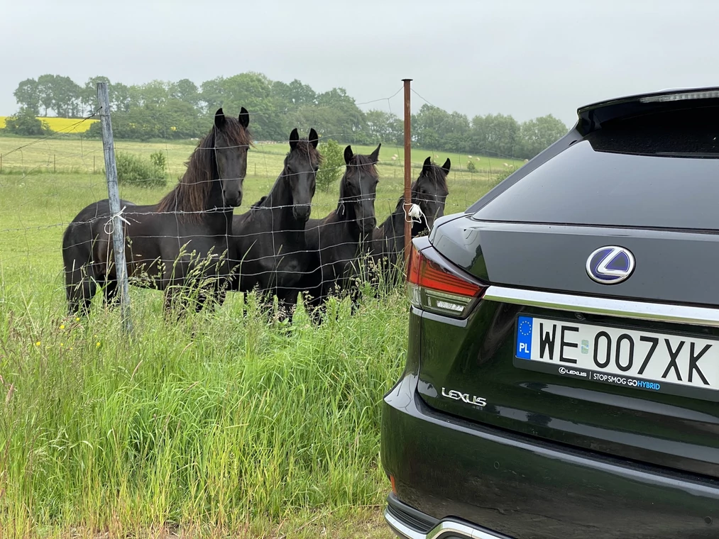 Karym koniom dziękujemy za fotogeniczną pozę, ich mechanicznym kuzynom w Lexusie – za umiarkowany apetyt na paliwo.