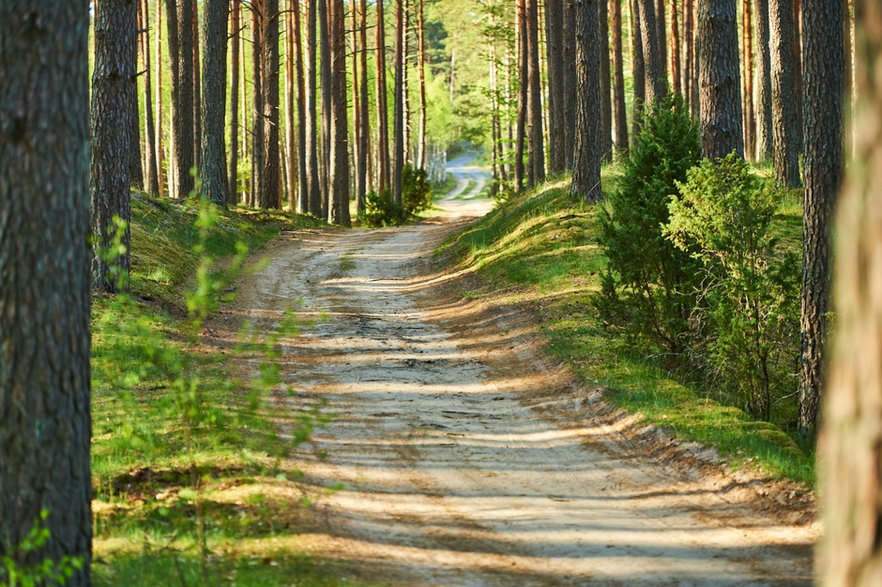 Okolica Swornegaci idealnie nadaje się na piesze i rowerowe wycieczki / fot. Marcin Łysak