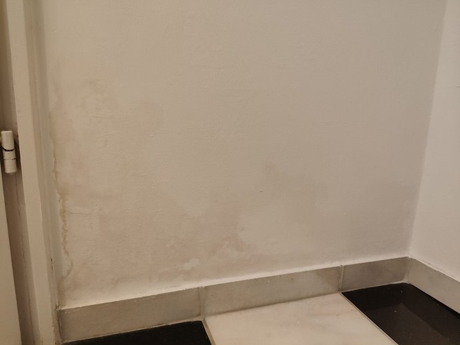 Um die Entstehung von Schimmel zu verhindern, sollte man mehrmals am Tag Stoßlüften. Je nach Jahreszeit unterscheidet sich dabei die Dauer: Im Sommer sind es 25 Minuten, im Winter reichen hingegen 5 Minuten.