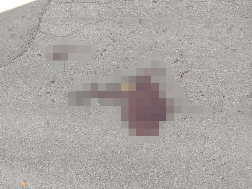 Mesto udesa u Ulici 7.jula u Nišu gde je automobil pokosio muškarca sa prostora Kosova i Metohije