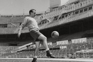 Alfredo di Stefano