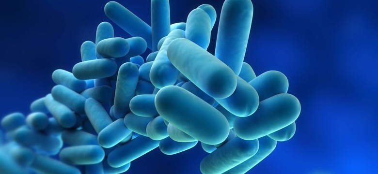Skażenie bakterią E.coli? Egipt: To nie my!