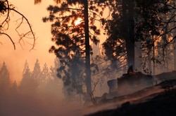 Stany Zjednoczone płoną. Najtrudniejsza sytuacja w Kalifornii