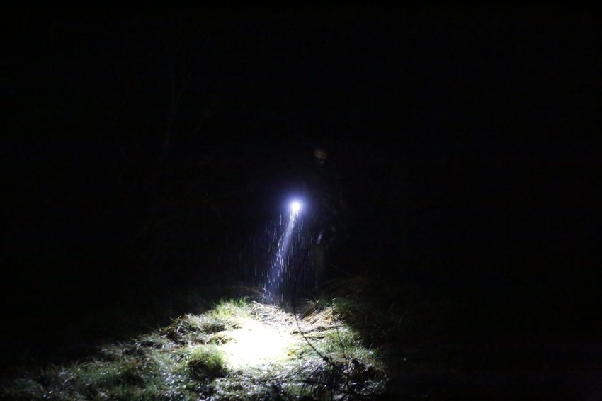 Potraga za nestalom Dankom