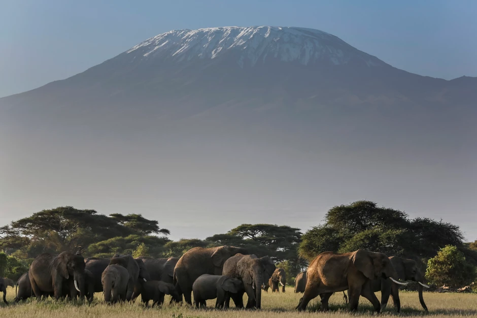 Najviša planina u Africi ima 5.895 metara