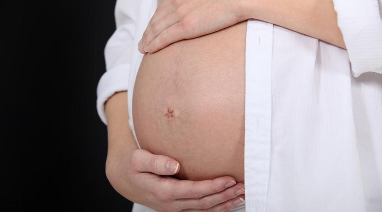 Különleges terhesség/ Fotó: Nortfoto