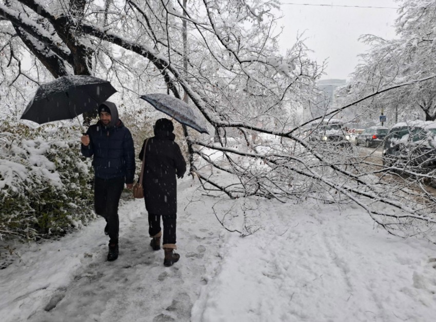 Sneg, Banjaluka, oborena grana