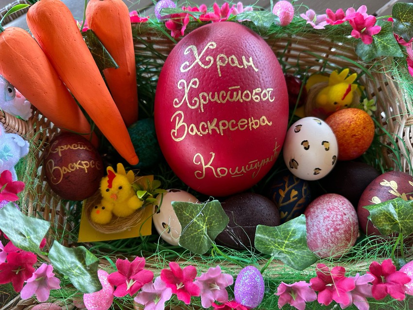 U Čačku ofarbano nojevo jaje teško skoro 3 kilograma