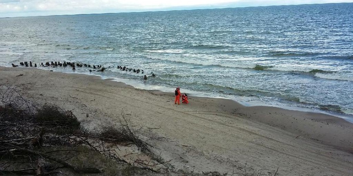 Dziwna substancja na plaży w Ustce