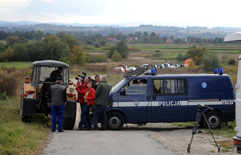 Obława, na dzikie koty obława!