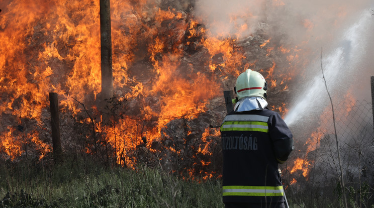Összesen 196 alkalommal riasztották a tűzoltókat országszerte szenteste. / Fotó: Blikk, Fuszek Gábor /
