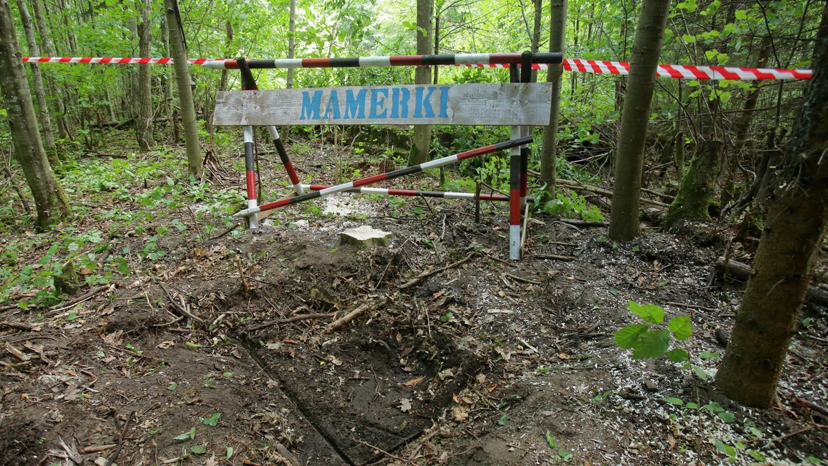 W kompleksie bunkrów w Mamerkach otwarto nieczynną od lat studzienkę. Zbudowany z cegły klinkierowej tunel okazał się być pusty. Dzierżawca obiektu liczył, że znajdzie w tunelu artefakty z czasów II wojny światowej, a może nawet Bursztynową Komnatę.