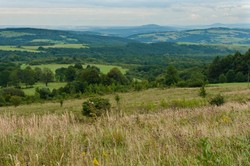 W tym roku powstanie w Polsce park narodowy. Pierwszy od 20 lat