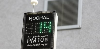 Nochal wącha powietrze w Piekarach