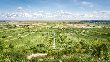 Burgenland - austriacki smak Panonii