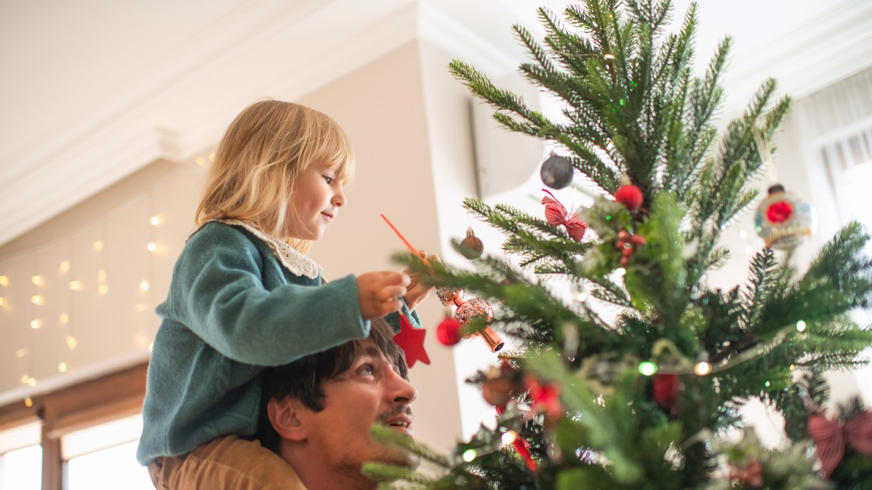 Zanedbaná starostlivosť sa rýchlo prejaví opadaným ihličím.
