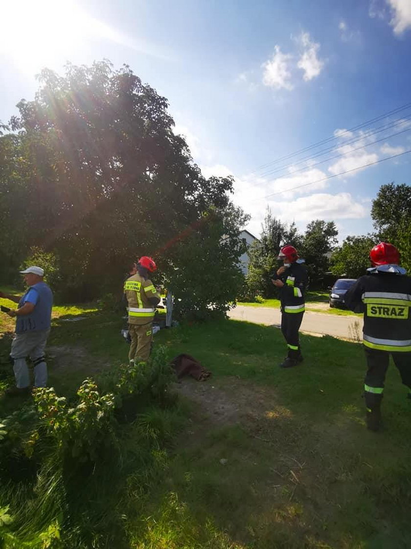 Do pomocy w poskromieniu nieproszonego gościa ściągnięto m.in. strażaków