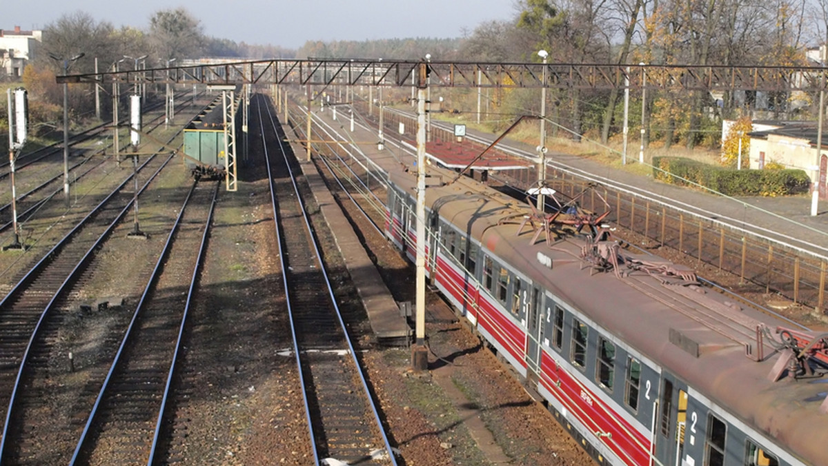 Ukraińskie koleje państwowe w obwodzie lwowskim zagroziły zawieszeniem ruchu pociągów podmiejskich kursujących do Lwowa, w których handlarze choinkami przewożą hurtowe ilości tych drzewek, uniemożliwiając normalne podróżowanie zwykłym pasażerom.