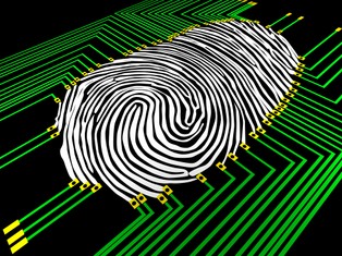 Technologiczna rewolucja w naszym portfelu. Oto nowoczesna bankowość