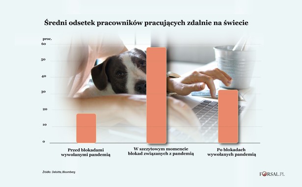 Średni odsetek pracowników pracujących zdalnie