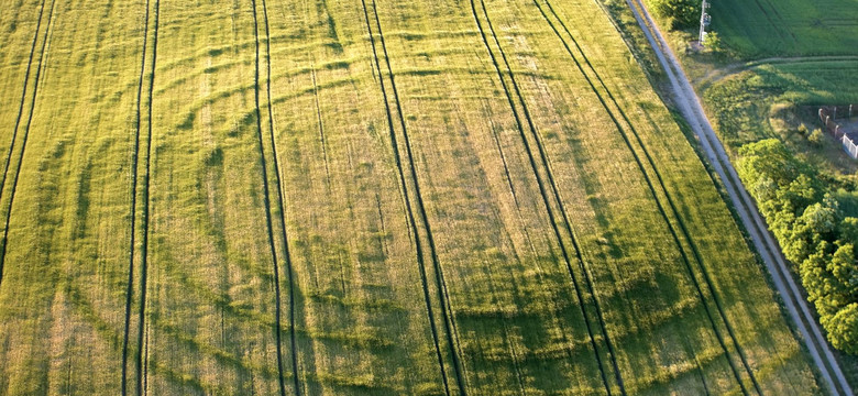 Archeolodzy rozpoczęli badania kręgów sprzed 7 tys. lat w Nowym Objezierzu