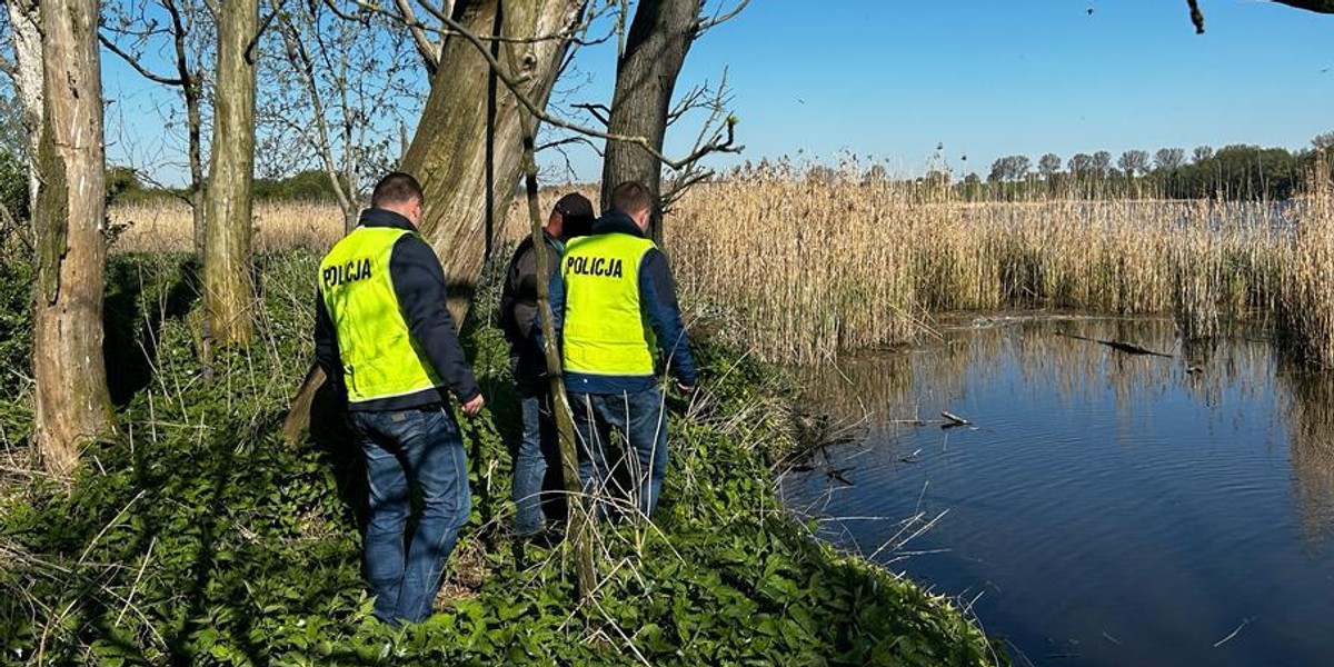 Policja zatrzymała pięćdziesięciolatków. Mieli wymordować kormorany na Jeziorze Tonowskim.