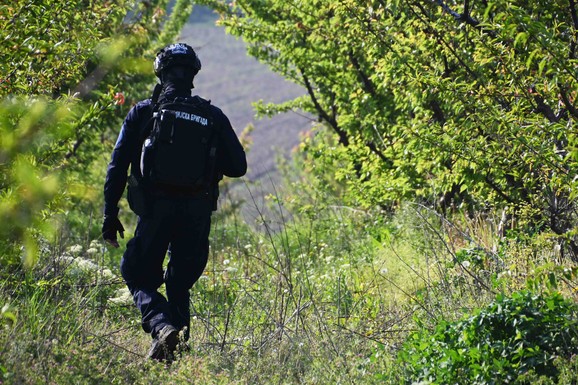 POBEGLI SA GRANICE SA BUGARSKOM Policija traga za osumnjičenima za šverc 32 MIGRANTA iz Avganistana