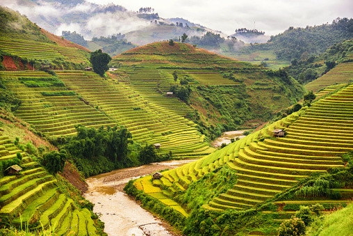 Ifugao w Filipinach