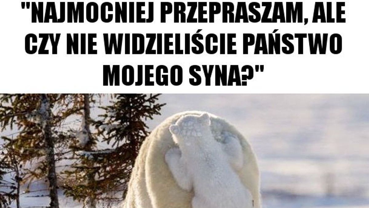 Najśmieszniejsze memy ze zwierzętami w roli głównej