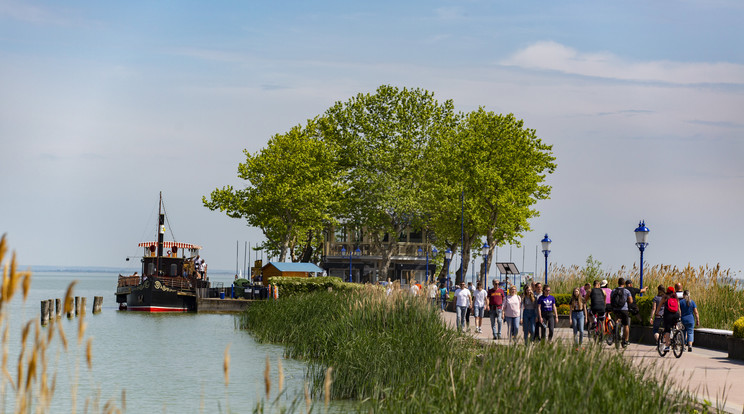 A Balatonon megjelenő algatömeg a víz tisztaságát jelzi, árulták el a szakértők. /Fotó:MTI/Varga György