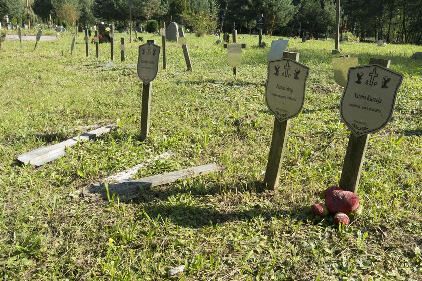 Zaniedbane groby na cmentarzu komunalnym w Katowicach