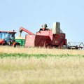 Ukraińskie zboże nie zalało Polski. Ministerstwo podało dane