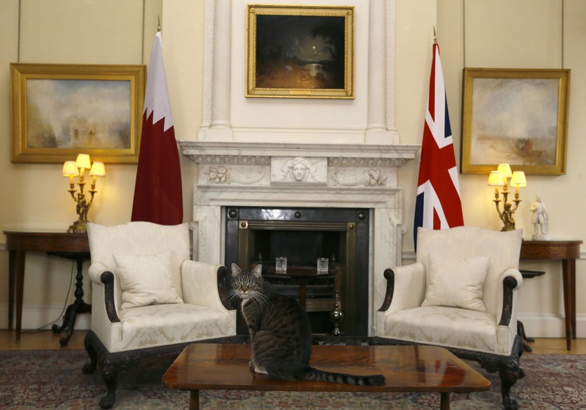 Uvek u centru zbivanja