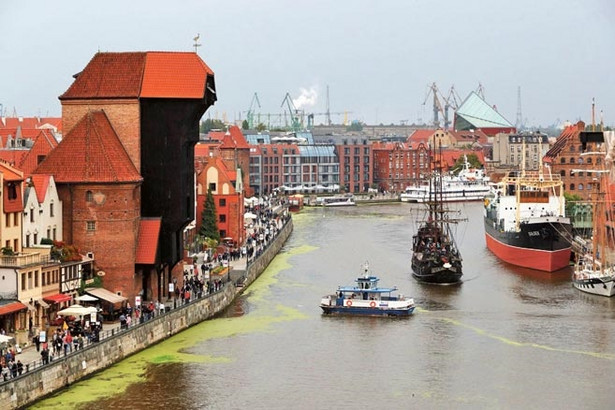 Gdańsk miastem otwartym i różnorodnym