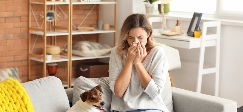 Jak poprawić jakość powietrza w domu alergika? Pamiętaj o tych pięciu dobrych nawykach
