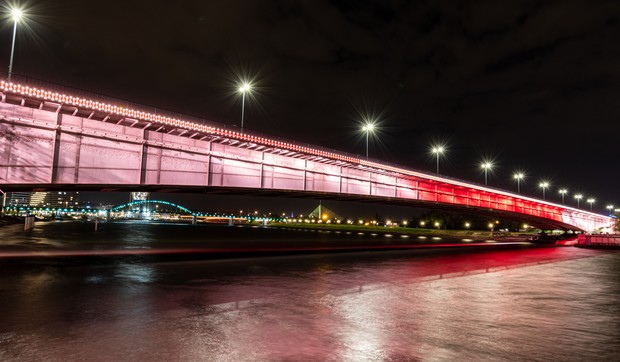 Beograđanin u gluvo doba noći iz Save kod Brankovog mosta izvukao grdosiju od 100 kila