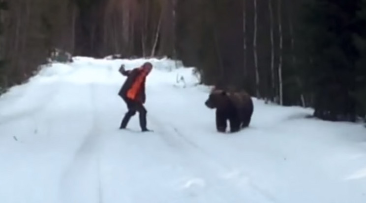 Egyetlen üvöltéssel szerelte le a támadó medvét/Fotó: Youtube