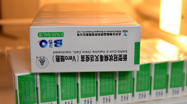 Megszólalt a szakember: 65%-os védelmet nyújthat a kínai vakcina / MTI/Mészáros János