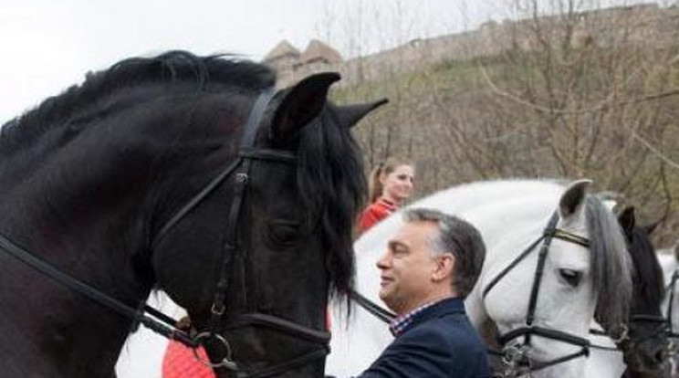 Szőkenőzött egyet Orbán Viktor