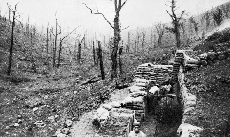 Francuzi w zdewastowanych sadach pod Verdun