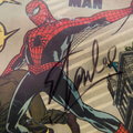 176 tys. zł za 60-letni komiks ze Spider-Manem. Można było go kupić za 50 gr