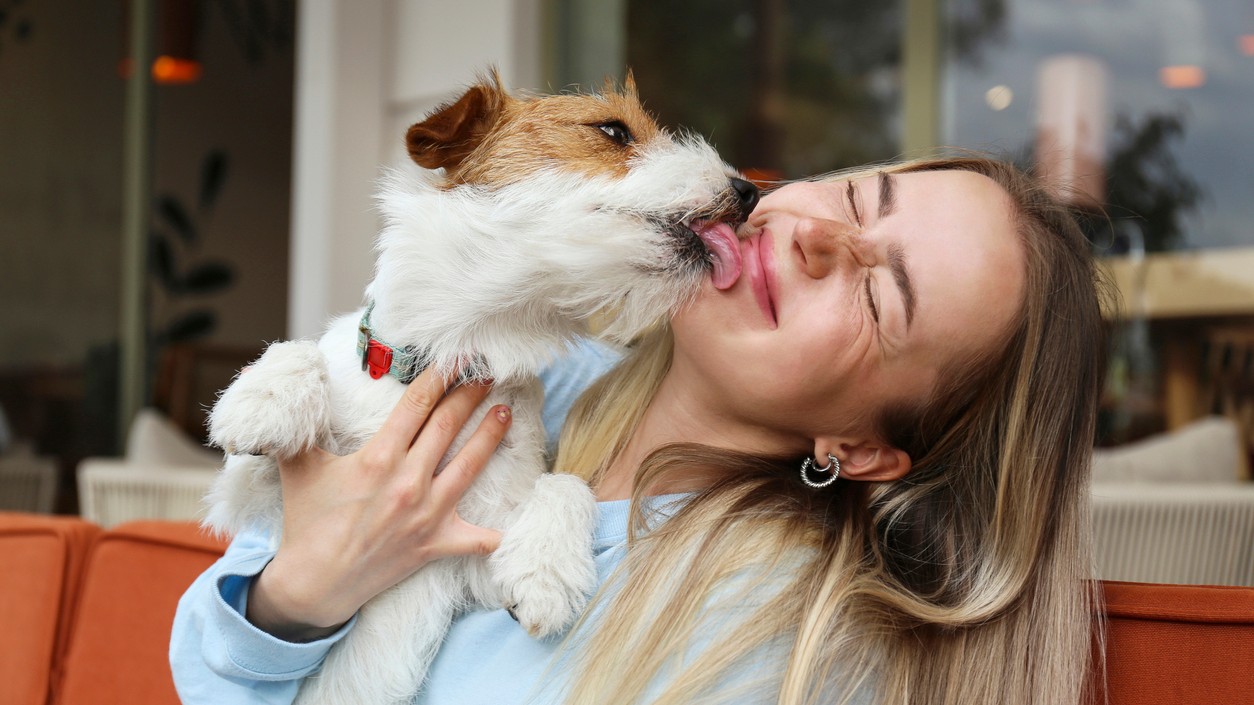 Povinný test pred získaním psa prináša množstvo výhod a podporuje zodpovedné vlastníctvo.