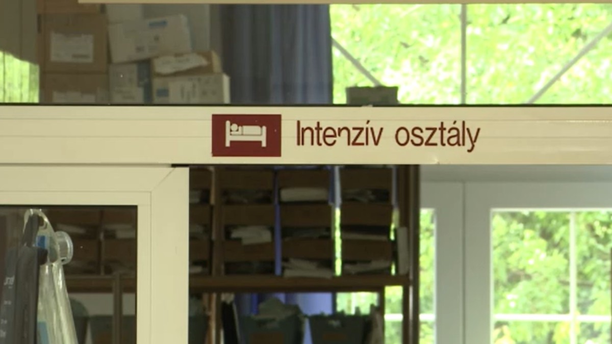 Zokogva omlott össze a kamerák előtt annak a 15 éves gyereknek az édesanyja, akit áramütés ért, amikor egy vonat tetején ugrált – videó