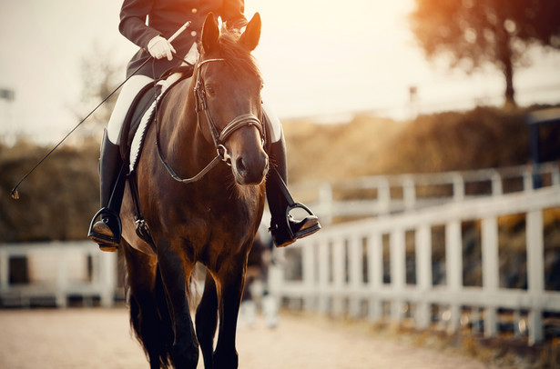 Ksenia Kostygowa za pobicie konia została zdyskwalifikowana na dwa lata