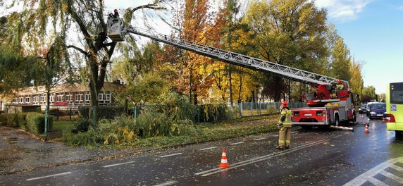 Połamane drzewa i gałęzie. Strażacy usuwają skutki silnego wiatru