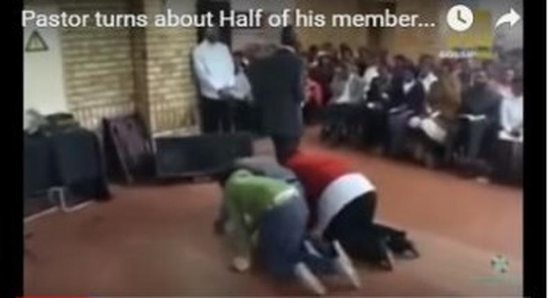 Pastor turn church members into sheep