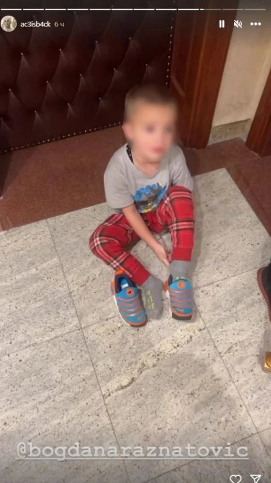 Objava Veljka Ražnatovića